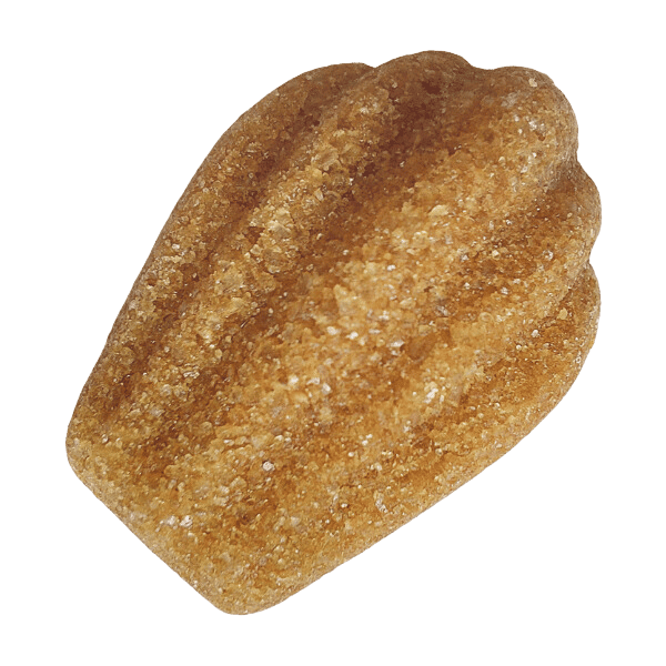 Brown Sugar Madeleines